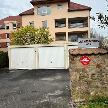 L'Alsace Autrement Appartement Soultz-Haut-Rhin Buitenkant foto